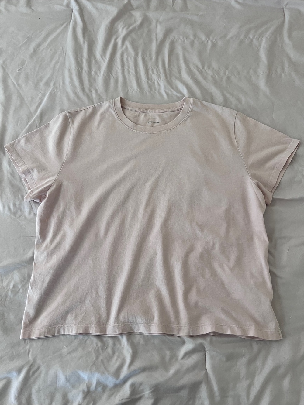 Everlane Boxy Organic Cotton Crew Tee in Pale Pink